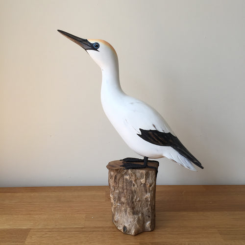 Archipelago Gannet Looking Up Wood Carving