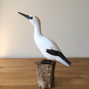 Archipelago Gannet Looking Up Wood Carving