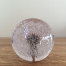 Load image into Gallery viewer, Botanical Dandelion Small Paperweight Made With Real Dandelion