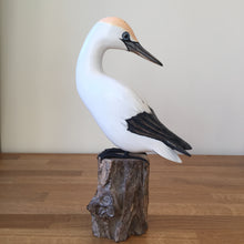 Load image into Gallery viewer, Archipelago Small Gannet Preening Wood Carving