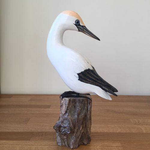 Archipelago Small Gannet Preening Wood Carving