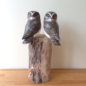 Archipelago Double Little Owl Wood Carving