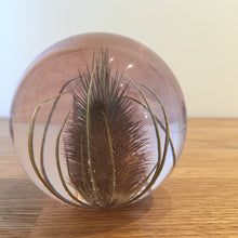 Load image into Gallery viewer, Botanical Teasel Large Paperweight Made With Real Teasel