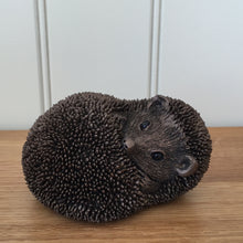 Load image into Gallery viewer, Spike Hedgehog Bronze Frith Sculpture By Thomas Meadows