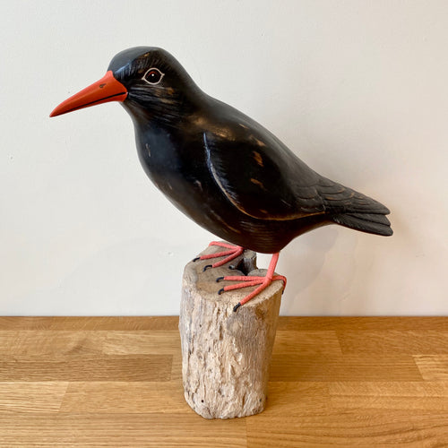 Archipelago Chough