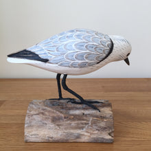 Load image into Gallery viewer, Archipelago Sanderling Feeding Wood Carving