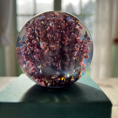 Botanical Heather Small Paperweight Made With Real Heather