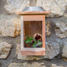 Load image into Gallery viewer, National Trust Childrens Illuminated Minibeast Centre