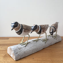 Load image into Gallery viewer, Archipelago Three Plovers On Driftwood Wood Carving