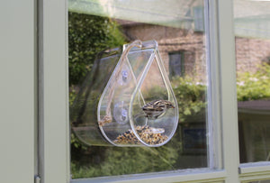 Dew Drop Window Bird Feeder Wildlife Country Gift
