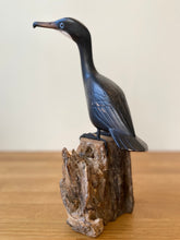 Load image into Gallery viewer, Archipelago Cormorant