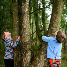 Load image into Gallery viewer, Plant a Tree Kit