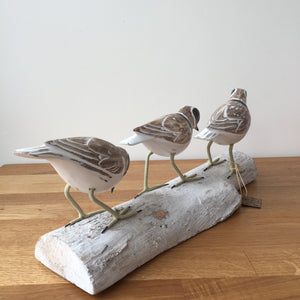 Archipelago Three Plovers On Driftwood Wood Carving