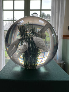Botanical Snowdrops Small Paperweight Made With Real Snowdrops