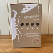 Load image into Gallery viewer, National Trust Childrens Illuminated Minibeast Centre