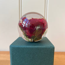 Load image into Gallery viewer, Botanical Red Rose Large Paperweight Made With Real Rose