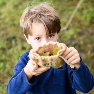 Plant a Tree Kit