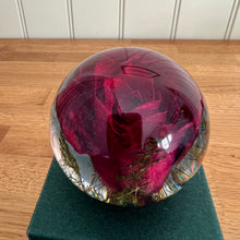 Load image into Gallery viewer, Botanical Red Rose Paperweight Made With Real Rose