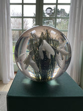 Load image into Gallery viewer, Botanical Snowdrops Small Paperweight Made With Real Snowdrops