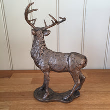 Load image into Gallery viewer, Red Deer - Stag Bronze Frith Sculpture By Thomas Meadows