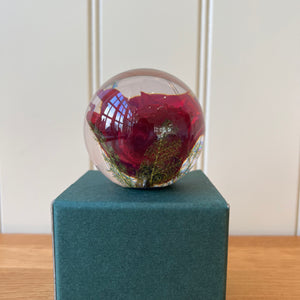 Botanical Red Rose Large Paperweight Made With Real Rose