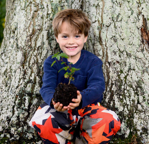Plant a Tree Kit