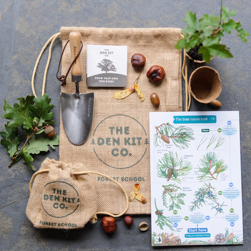 Plant a Tree Kit