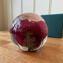 Load image into Gallery viewer, Botanical Red Rose Paperweight Made With Real Rose