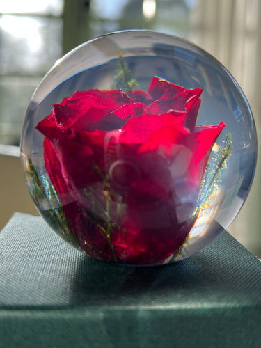 Botanical Red Rose Small Paperweight Made With Real Rose