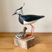 Load image into Gallery viewer, Archipelago Lapwing Wood Carving