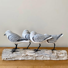 Load image into Gallery viewer, Archipelago Sanderling Block Four Sanderling Birds Wood Carving