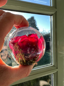 Botanical Red Rose Large Paperweight Made With Real Rose