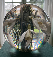 Load image into Gallery viewer, Botanical Snowdrops Large Paperweight Made With Real Snowdrops