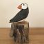 Load image into Gallery viewer, Archipelago Small Puffin Preening Wood Carving