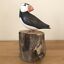 Archipelago Small Puffin Preening Wood Carving